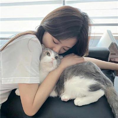 猫狗大战3：爪爪集结！